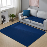 _Nidus_ Microfiber Rainbow Rug Carpet